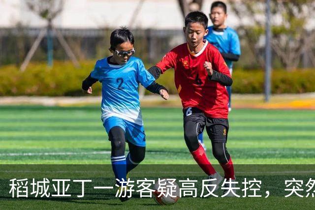 稻城亚丁一游客疑高反失控，突然快速冲下山坡，一头栽倒在灌木丛中，抱头痛苦大喊......工作人员：脑水肿的表现，已及时救治